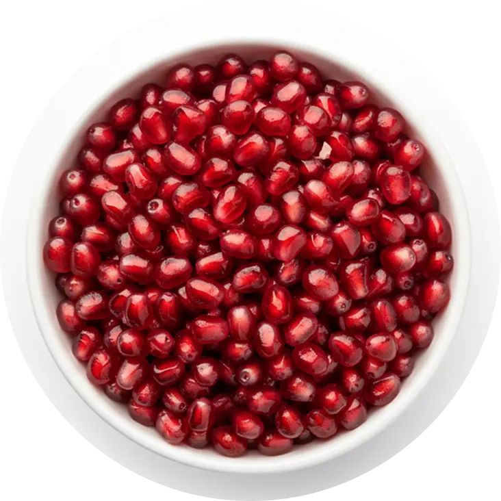Pomegranate icon