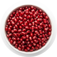 Pomegranate icon